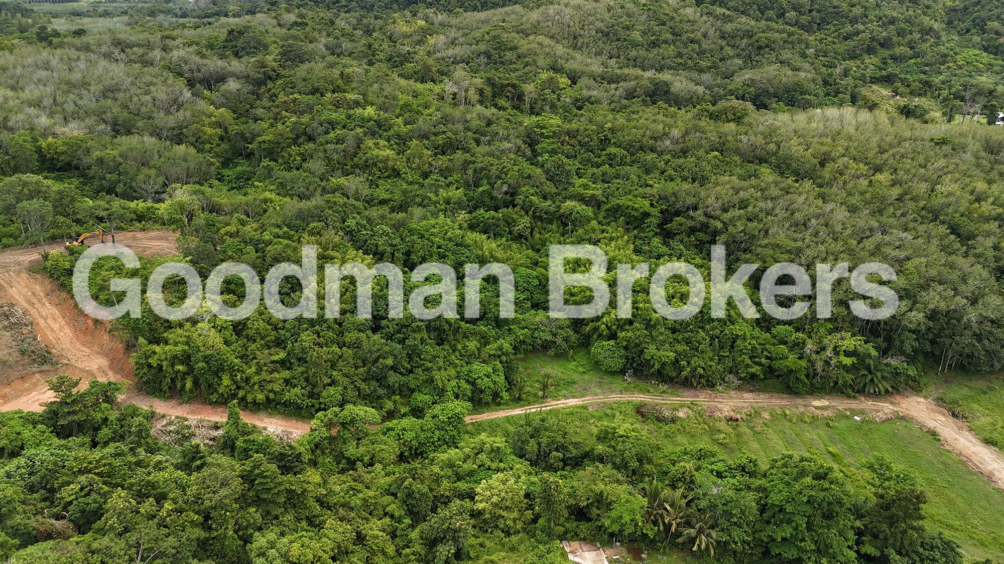 房源 #532 - 照片 2