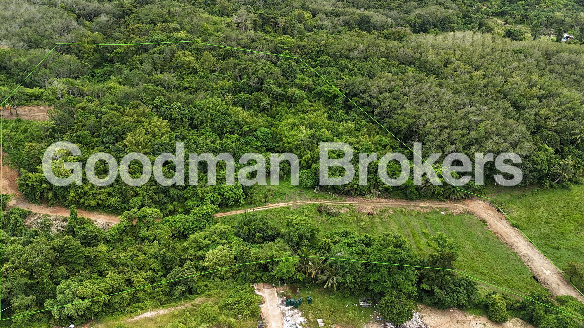 房源 #532 - 照片 3